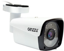 IP-камера Ginzzu HIB-5301A - фото