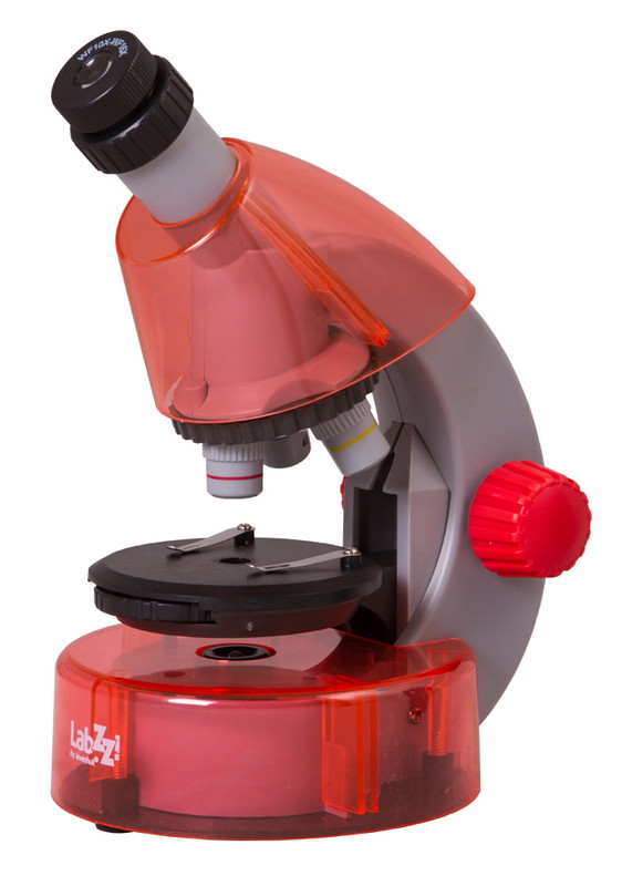Микроскоп Levenhuk LabZZ M101 (Orange)